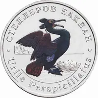 5 Chervontsev Urile Perspicillatus