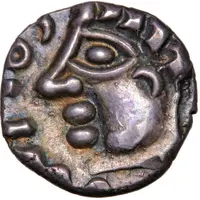 Denier with large eye SOLIMA/COLIMA