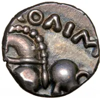 Denier with large eye SOLIMA/COLIMA