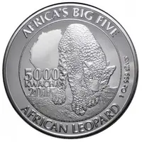 5000 Kwacha African Leopard