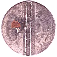 Telephone Token - Lugansk TA Askor