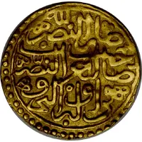 Sultani - Suleiman I Aleppo