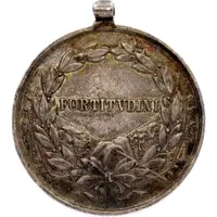 Medal for Bravery - Karl I silver