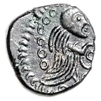 Quinarius Nauheimer Type