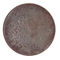 Prize medal - Juniorský skiff