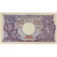 4000 Kruna overprint on 1000 Dinara