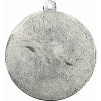 Malvinas Argentina - 2 de abril 1982