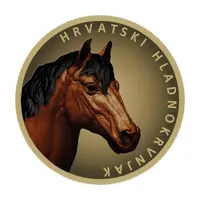 100 Euros Croatian Coldblood, colored