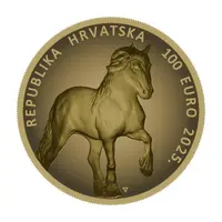 100 Euros Croatian Coldblood, colored