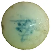 Siamese Gambling Token