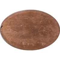 Elongated Coin - Viru Gate