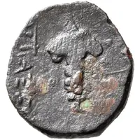 Chalkous - Artaxias I grapes