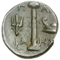 Dichalkon - Pamphaes