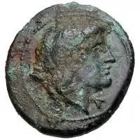 5 Units Head of Hercle