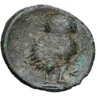 5 Units Head of Hercle