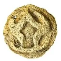 1 Gold unit - Sudhammapura