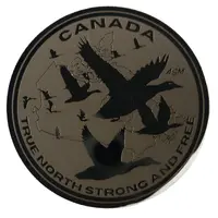 Medal - Canada Pride True North Strong And Free: Loonie