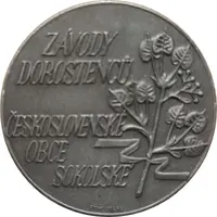 Medal - Czechoslovak Sokol Municipalities
