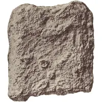 Currency bar Crescents with four-pointed star