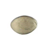 Budapest - Parlament