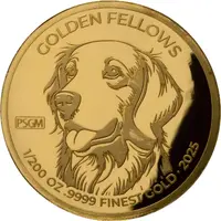 1500 Francs CFA Golden Fellows