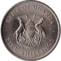 5 Shillings FAO