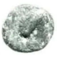 1 Semuncia Series I: female head