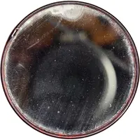 Dudelange - Chapellerie Artois-Schoetter